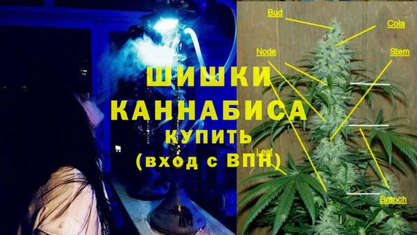 мяу мяу мука Аркадак