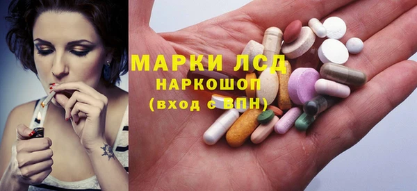 мяу мяу мука Аркадак