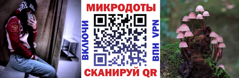 Псилоцибиновые грибы прущие грибы  Купить  Черкесск 